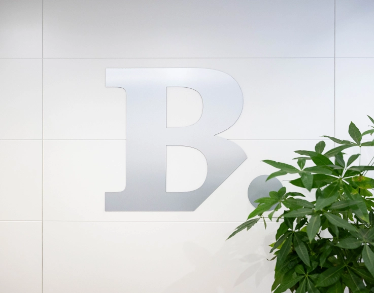 rotulacion-bufete-seccion-vision